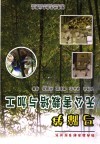马蹄笋无公害栽培与加工 封面