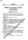 黑鲷SPARUS MACTOECEPHALUS人工育苗和中间培育试验报告 封面