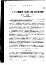 牙鲆和条鳎卵子及仔、稚鱼的形态观察 封面