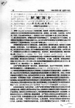 鲈鳗简介 封面