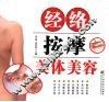 经络按摩美体美容 封面