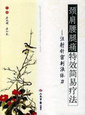颈肩腰腿痛特效简易疗法：注射针密刺液体刀 封面