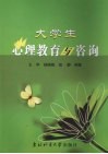 大学生心理教育与咨询 封面