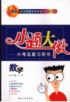 小题大做  小考总复习用书  数学  升级版 封面