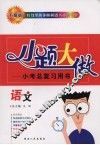 小题大做：小考总复习用书  语文  升级版 封面