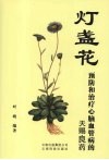 灯盏花  预防和治疗心脑血管病的天赐良药 封面