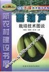 西葫芦栽培技术图说 封面