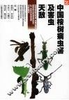 中国桉树病虫害及害虫天敌 封面