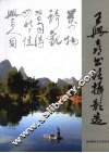 王兴喜书法摄影选  2 封面