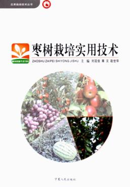枣树栽培实用技术 封面