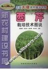 西芹栽培技术图说 封面