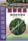 迷你黄瓜栽培技术图说 封面