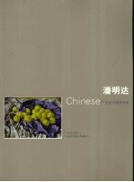 21世纪中国美术家  潘明达 封面