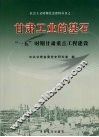 甘肃工业的基石：“一五”时期甘肃重点工程建设 封面