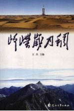 峥嵘岁月稠 封面