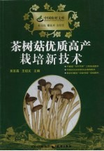 茶树菇优质高产栽培新技术 封面