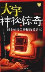 网上惊魂神秘的男朋友 封面