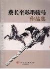 蔡长奎彩墨骏马作品集 封面