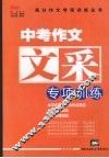 中考作文文采专项训练 封面