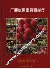 广西优果富民百村行 封面