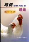 鸡病诊断与防治图谱 封面