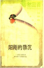 阳刚的堕沉  从贾宝玉的男女观谈中国男子气质的消长轨迹 封面