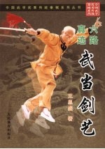 六路真迹武当剑艺 封面