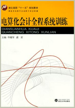电算化会计全程系统训练 封面