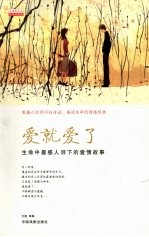 爱就爱了  生命中最感人泪下的爱情故事 封面