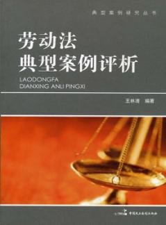 劳动法典型案例评析 封面