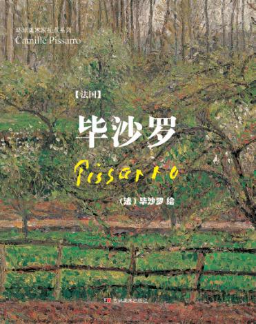 毕沙罗 封面