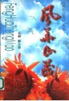风华正茂 电子书封面