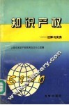 知识产权  法律与实务 封面