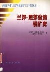 兰坪-思茅盆地铜矿床 封面