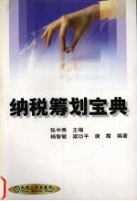纳税筹划宝典 封面
