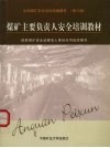 煤矿主要负责人安全培训教材  修订版 电子书封面
