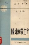 国外薄带生产 封面