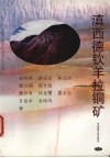滇西德钦羊拉铜矿 封面