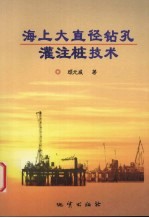 海上大直径钻孔灌注桩技术 封面