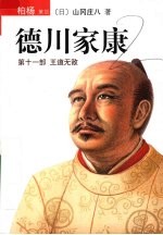 德川家康  第11部  王道无敌 封面