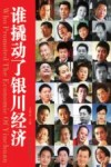 谁撬动了银川经济 封面