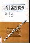 审计案例精选 封面