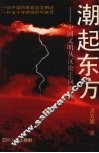 潮起东方  中国文明从沉沦走向崛起 封面