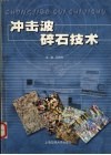 冲击波碎石技术 封面