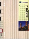 气液两相流  修订版 封面