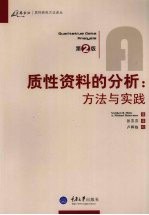 质性资料的分析  方法与实践  第2版 电子书封面