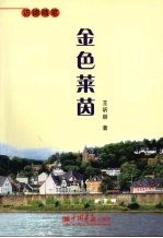 金色莱茵  访德随笔 封面