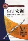 审计实训 封面