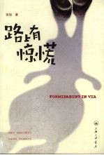 路上有惊慌 封面