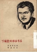 在布拉格的栗树下 封面